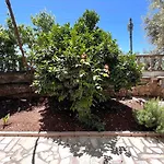 Apartamento Aurea Dhërmi