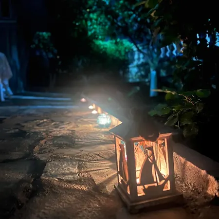 Petra Oliva アパート Dhërmi