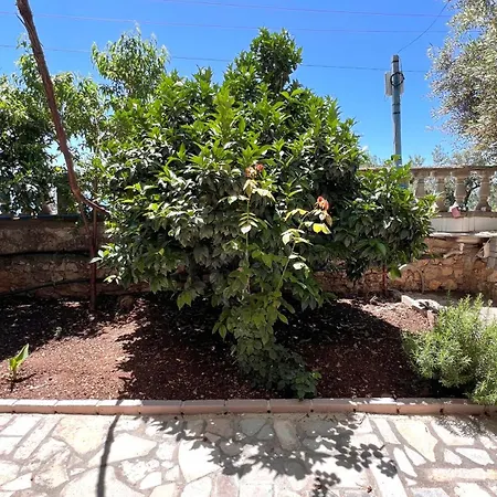 Apartamento Petra Oliva Dhërmi