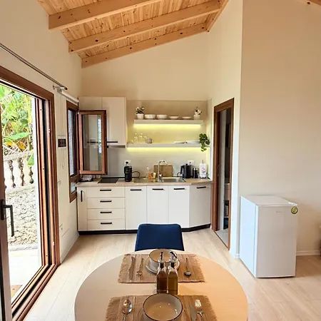 Aurea * Dhërmi